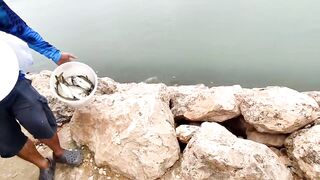 Салала, ультралайт — лучшие точки по утрам: микроджиг на чистых пятнах