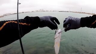 Салала, ультралайт — лучшие точки по утрам: микроджиг на чистых пятнах