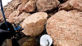 Салала, ультралайт — лучшие точки по утрам: микроджиг на чистых пятнах