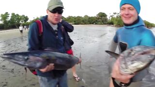 Пемба, 2014 — экстремальная подводная охота в синей воде: трофеи GT