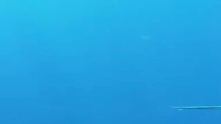 Пемба, 2014 — экстремальная подводная охота в синей воде: трофеи GT