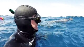 Пемба, 2014 — экстремальная подводная охота в синей воде: трофеи GT