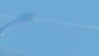 Пемба, 2014 — экстремальная подводная охота в синей воде: трофеи GT