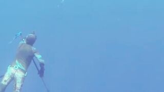 Пемба, 2014 — экстремальная подводная охота в синей воде: трофеи GT