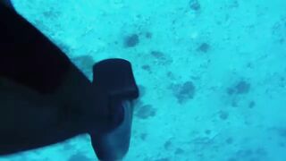 Пемба, 2014 — экстремальная подводная охота в синей воде: трофеи GT