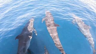 Плайяс-дель-Коко, Коста-Рика — приключение с парнями: джиг и троллинг