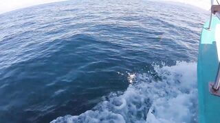 Плайяс-дель-Коко, Коста-Рика — приключение с парнями: джиг и троллинг