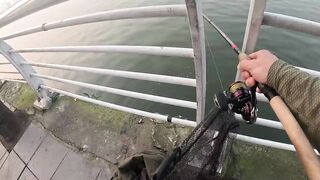 Ханой: street fishing, фо и сомики — работает ли вечером?