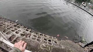 Ханой: street fishing, фо и сомики — работает ли вечером?