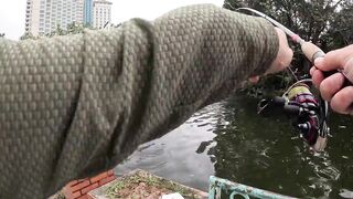 Ханой: street fishing, фо и сомики — работает ли вечером?