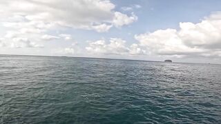 Бали, блюфиш и барракуда: морская рыбалка, готовим улов на берегу