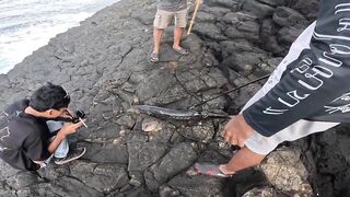 Бали, блюфиш и барракуда: морская рыбалка, готовим улов на берегу