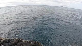 Бали, блюфиш и барракуда: морская рыбалка, готовим улов на берегу