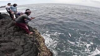 Бали, блюфиш и барракуда: морская рыбалка, готовим улов на берегу