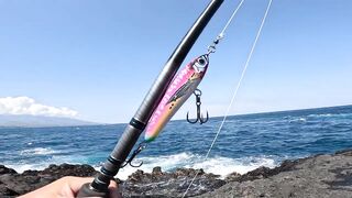 Бали, блюфиш и барракуда: морская рыбалка, готовим улов на берегу