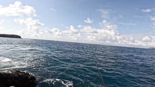 Бали, блюфиш и барракуда: морская рыбалка, готовим улов на берегу