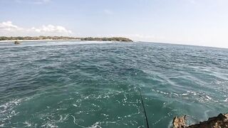 Бали, блюфиш и барракуда: морская рыбалка, готовим улов на берегу