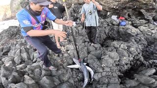 Бали, блюфиш и барракуда: морская рыбалка, готовим улов на берегу