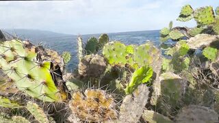 Бали, блюфиш и барракуда: морская рыбалка, готовим улов на берегу