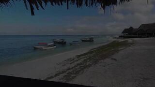 Атолл Мнемба — как не лохануться с экскурсией и увидеть стайную рыбу