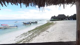 Атолл Мнемба — как не лохануться с экскурсией и увидеть стайную рыбу