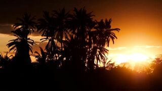 Атолл Мнемба — как не лохануться с экскурсией и увидеть стайную рыбу