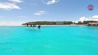 Атолл Мнемба — как не лохануться с экскурсией и увидеть стайную рыбу