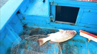 Дананг: шоркастинг и микроджиг на городском пляже