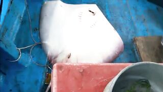 Дананг: шоркастинг и микроджиг на городском пляже