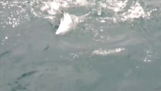 Вьетнам — джиг и поппинг: оснащение и поиск хищника по «птичке»