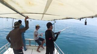 Вьетнам — джиг и поппинг: оснащение и поиск хищника по «птичке»