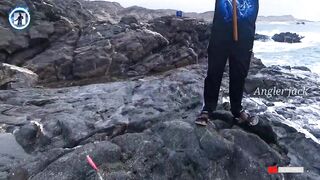 Салала, Оман — туна-погоня с Salalah Anglers: джиг и поиск птицы