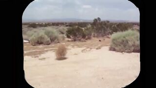 Искеле, столица экспатов: пляжи и береговые точки спиннинга