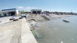 Фантьет, 2018 — рыбный рынок: уловы ночных лодок и свежая наживка