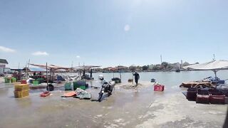 Фантьет, 2018 — рыбный рынок: уловы ночных лодок и свежая наживка