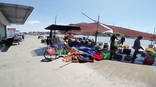 Фантьет, 2018 — рыбный рынок: уловы ночных лодок и свежая наживка