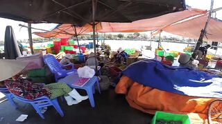 Фантьет, 2018 — рыбный рынок: уловы ночных лодок и свежая наживка