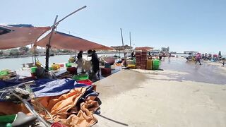 Фантьет, 2018 — рыбный рынок: уловы ночных лодок и свежая наживка