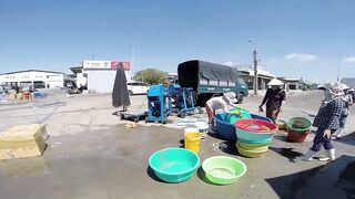 Фантьет, 2018 — рыбный рынок: уловы ночных лодок и свежая наживка