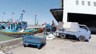 Фантьет, 2018 — рыбный рынок: уловы ночных лодок и свежая наживка