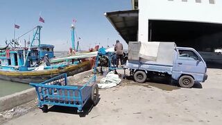 Фантьет, 2018 — рыбный рынок: уловы ночных лодок и свежая наживка