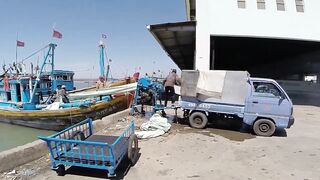 Фантьет, 2018 — рыбный рынок: уловы ночных лодок и свежая наживка