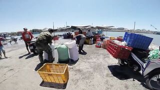 Фантьет, 2018 — рыбный рынок: уловы ночных лодок и свежая наживка