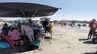 Фантьет, 2018 — рыбный рынок: уловы ночных лодок и свежая наживка