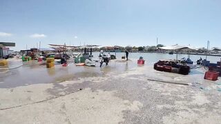 Фантьет, 2018 — рыбный рынок: уловы ночных лодок и свежая наживка