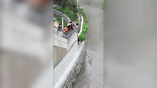 Шанхай — стррит-фишинг на набережной: микроджиг и судачок у сваев