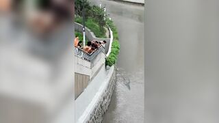 Шанхай — стррит-фишинг на набережной: микроджиг и судачок у сваев