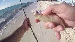 Playa del Carmen — Fishing Patrol: морская рыбалка для туриста, стоит ли пробовать?