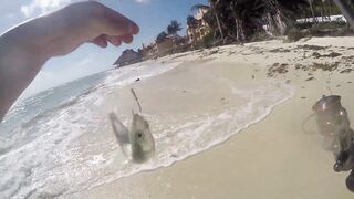 Playa del Carmen — Fishing Patrol: морская рыбалка для туриста, стоит ли пробовать?