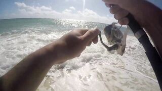 Playa del Carmen — Fishing Patrol: морская рыбалка для туриста, стоит ли пробовать?